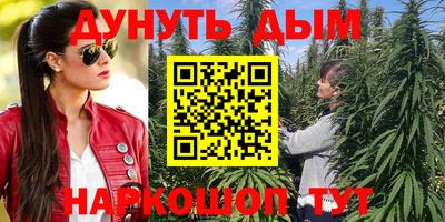 прущие грибы Лесосибирск