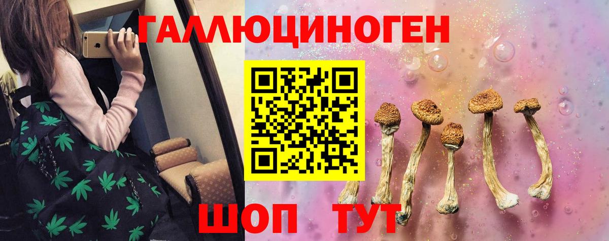Псилоцибиновые грибы Cubensis  цена наркотик  Шебекино  Вход с VPN 